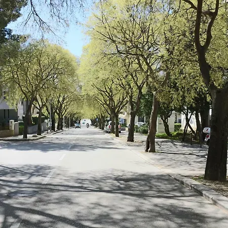 Marija * Split